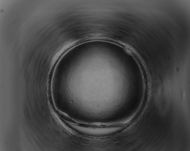 X0000051881333200507020021