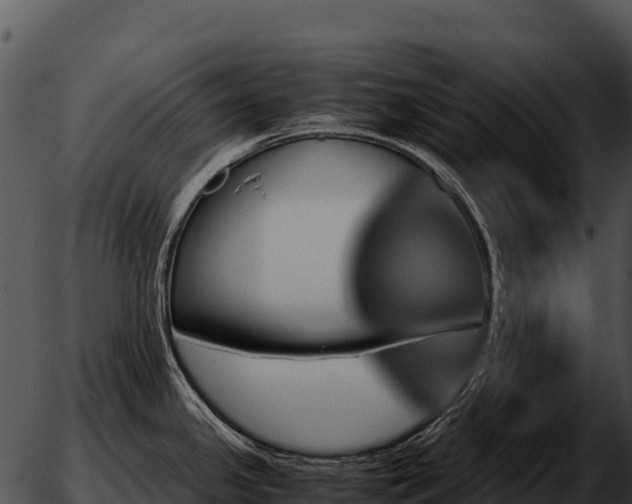 X0000051881341200507020021
