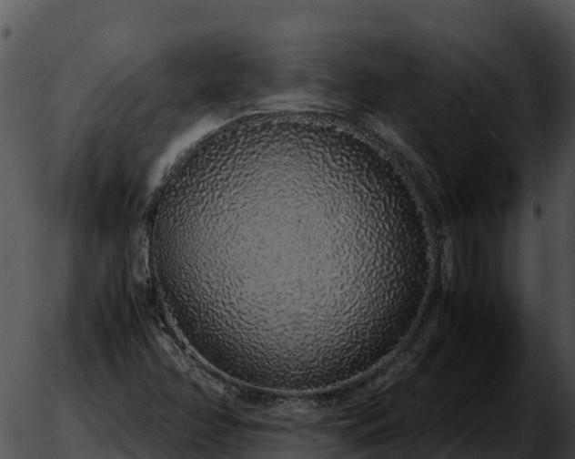 X0000051881358200507020020