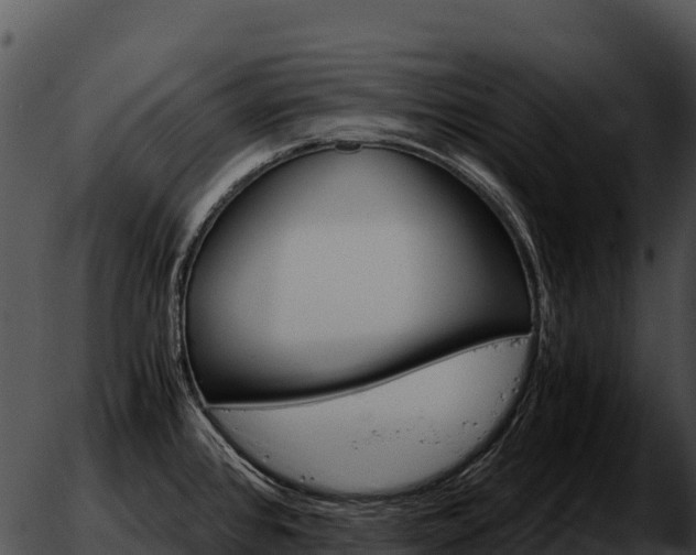 X0000051881384200507020020