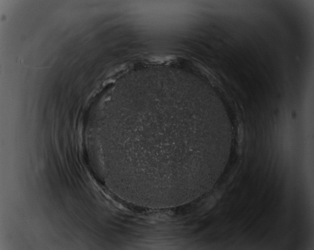 X0000051881394200507020019