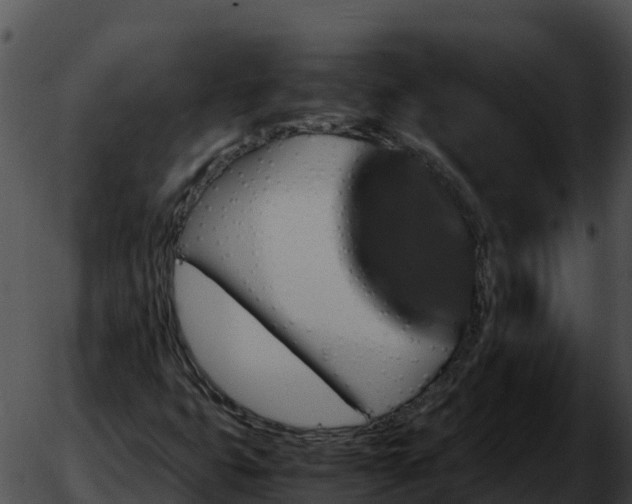 X0000051881399200507020019