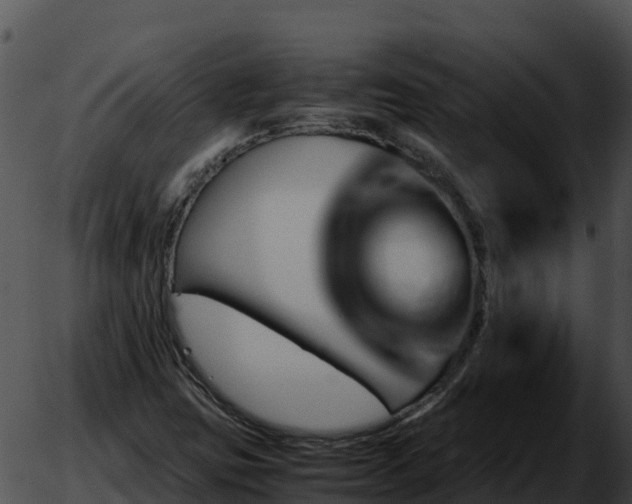 X0000051881403200507020019