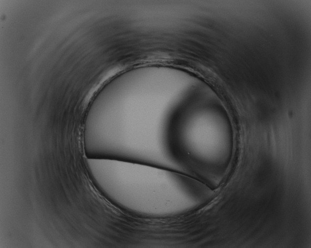 X0000051881409200507020019