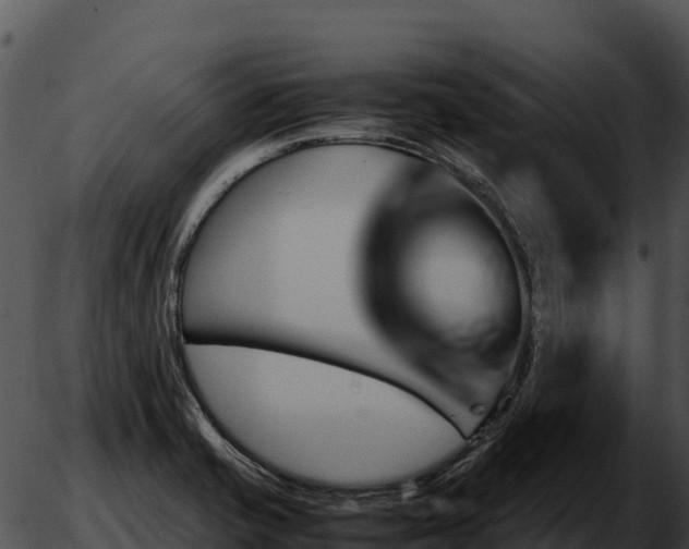 X0000051881421200507020019