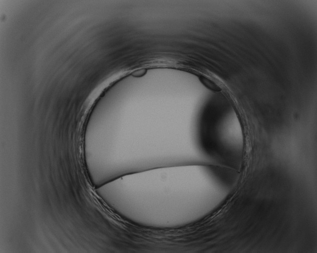 X0000051881435200507020019