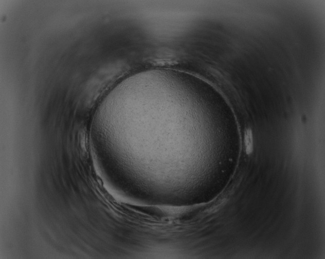 X0000051881444200507020019