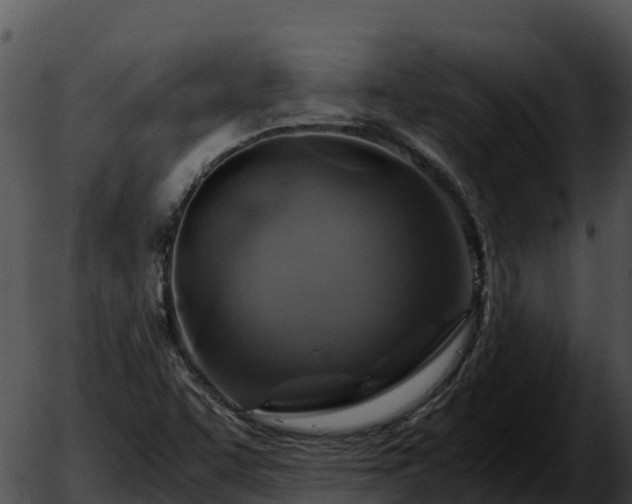 X0000051881455200507020019