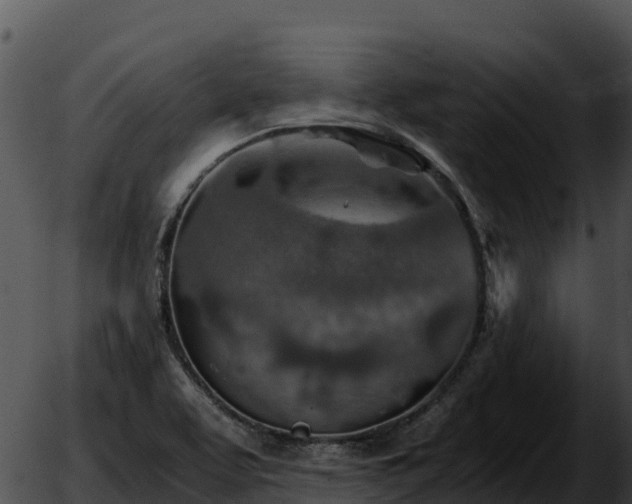 X0000051881463200507020018