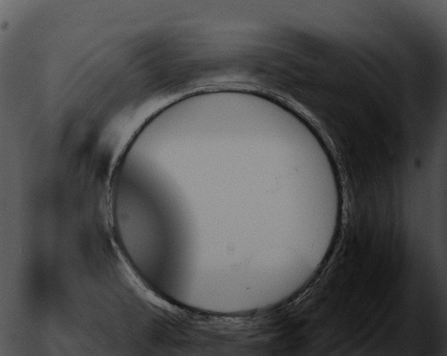 X0000051881470200507020018