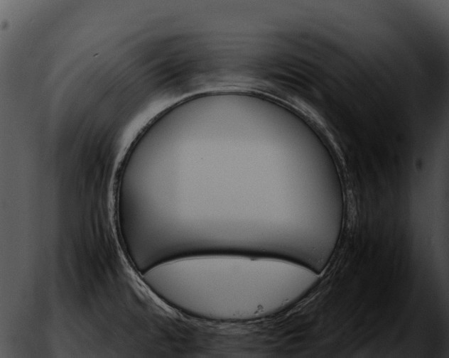 X0000051881480200507020018