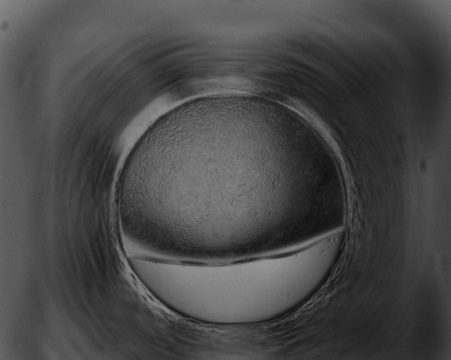 X0000051881488200507020018