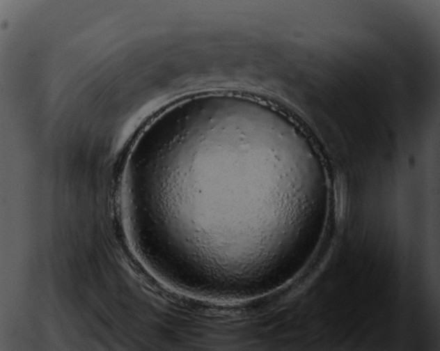 X0000051881501200507020017