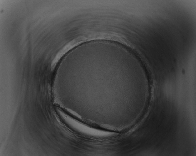 X0000051881505200507020017
