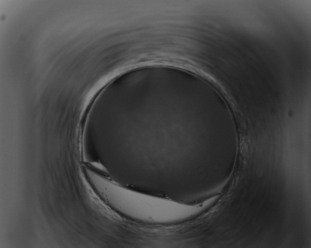 X0000051881522200507020018