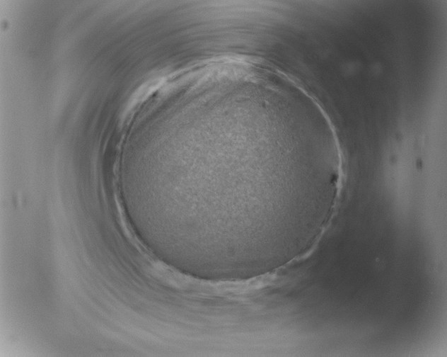 X0000051880001200507081925