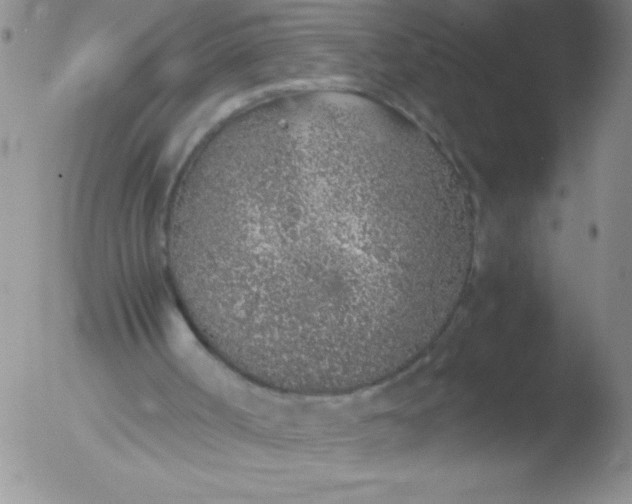 X0000051880002200507081925