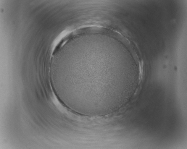 X0000051880003200507081925