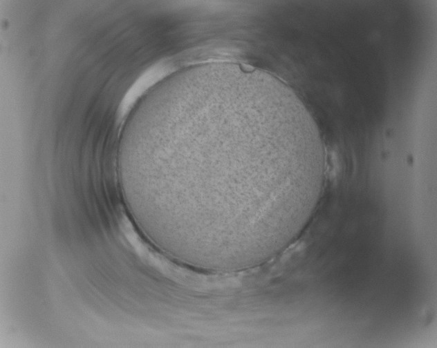 X0000051880004200507081925