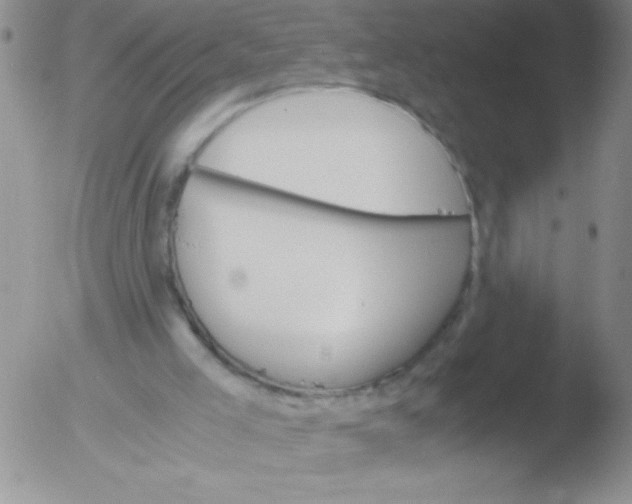 X0000051880005200507081925