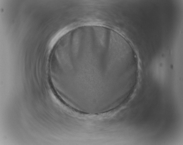 X0000051880007200507081925