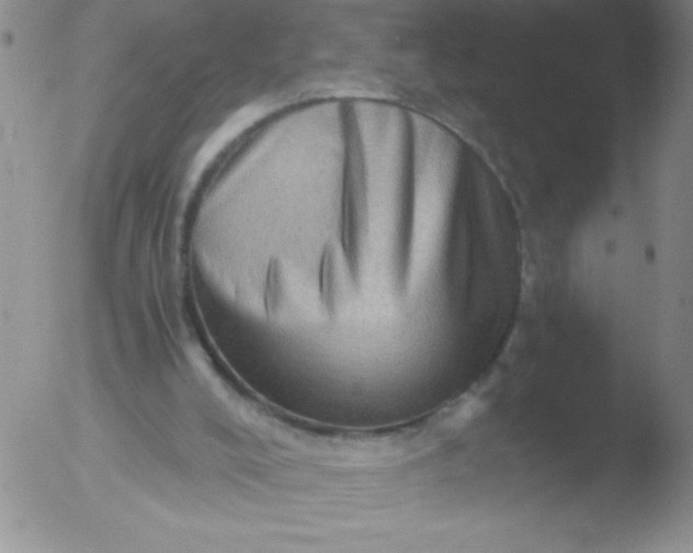 X0000051880008200507081925