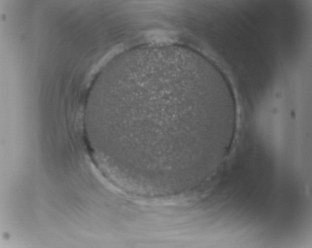 X0000051880009200507081925