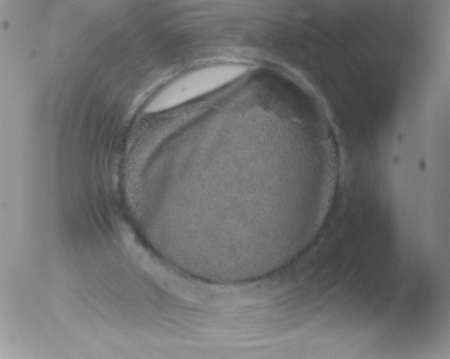 X0000051880010200507081925