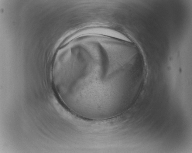 X0000051880011200507081925