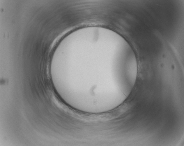 X0000051880012200507081925