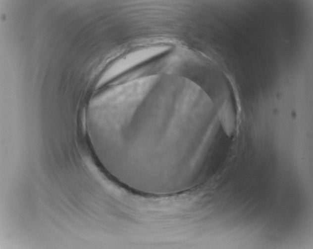 X0000051880013200507081925