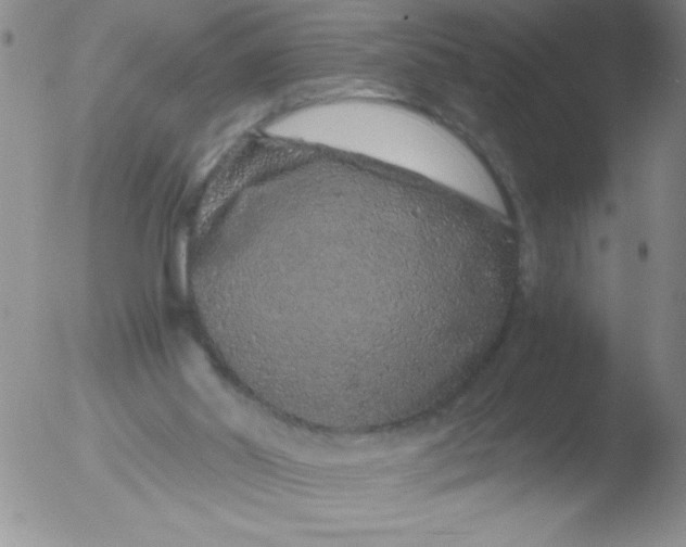 X0000051880014200507081925