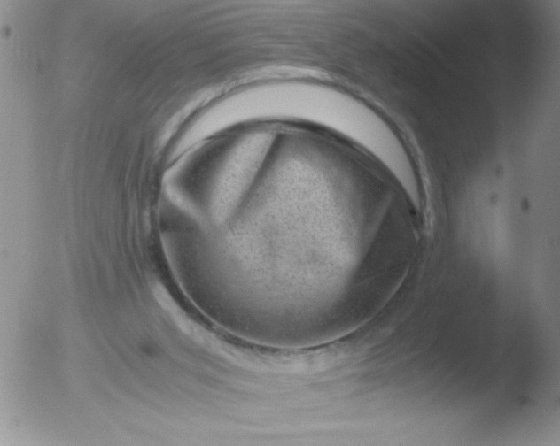 X0000051880015200507081925