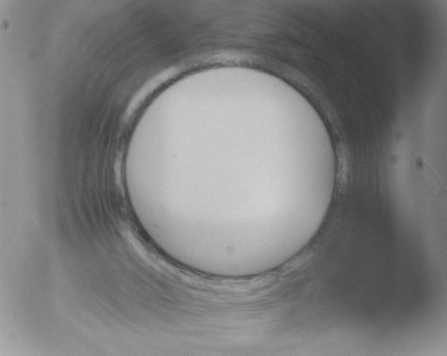 X0000051880016200507081925