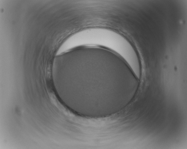 X0000051880017200507081925