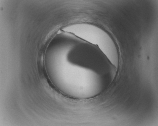 X0000051880019200507081925