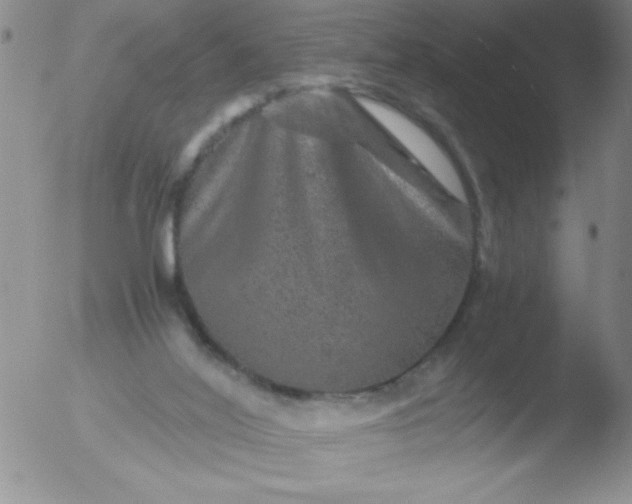 X0000051880020200507081925