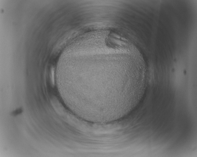 X0000051880022200507081925