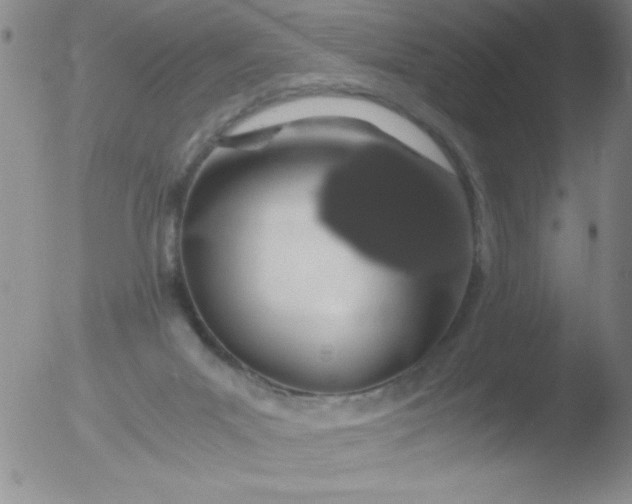 X0000051880023200507081925