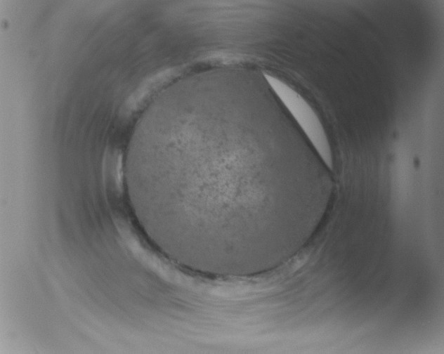 X0000051880024200507081925