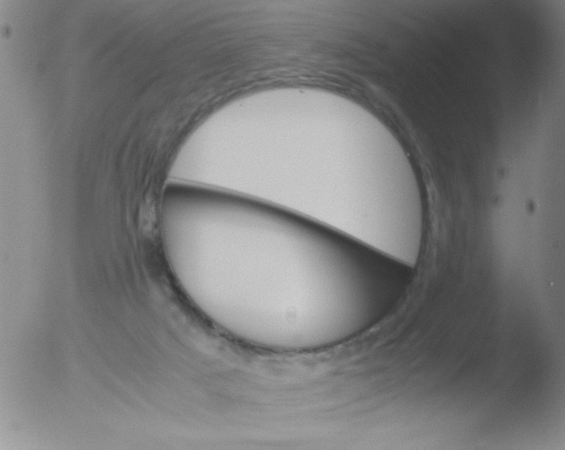 X0000051880025200507081925