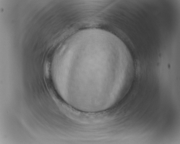 X0000051880026200507081925