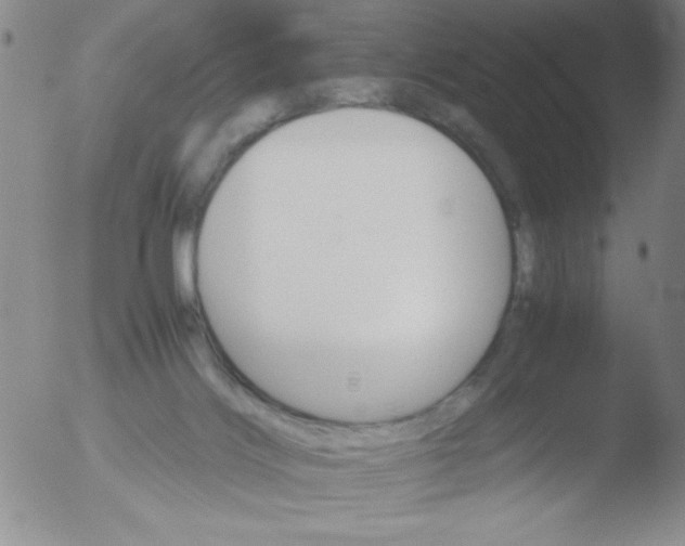 X0000051880028200507081925