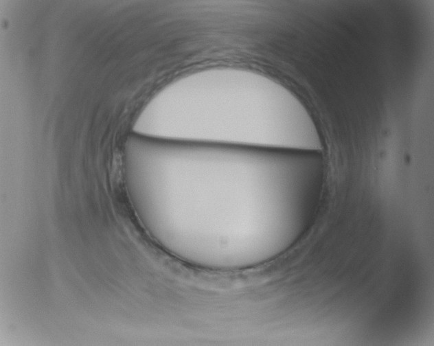 X0000051880029200507081925