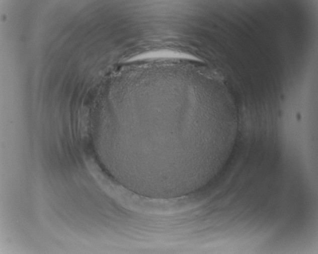 X0000051880030200507081925