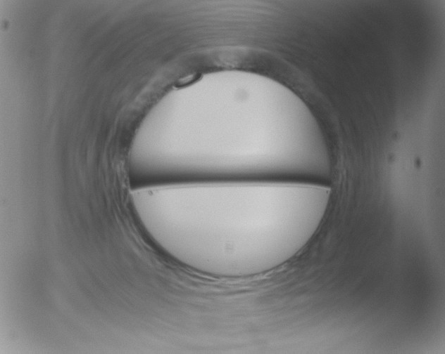 X0000051880031200507081925