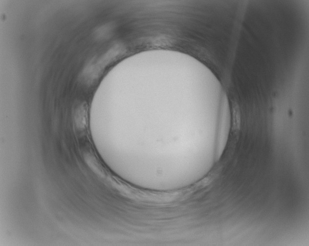 X0000051880032200507081925