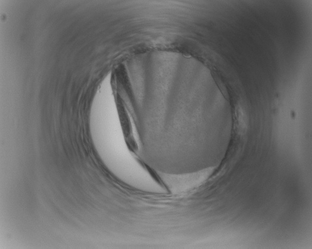 X0000051880033200507081925