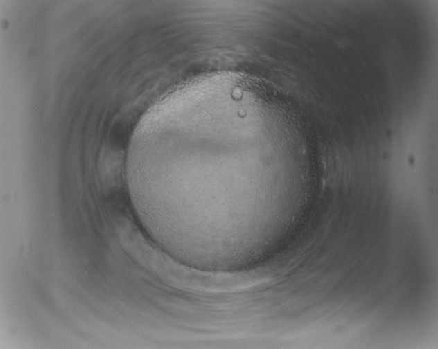 X0000051880034200507081924