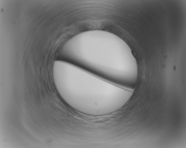 X0000051880035200507081924